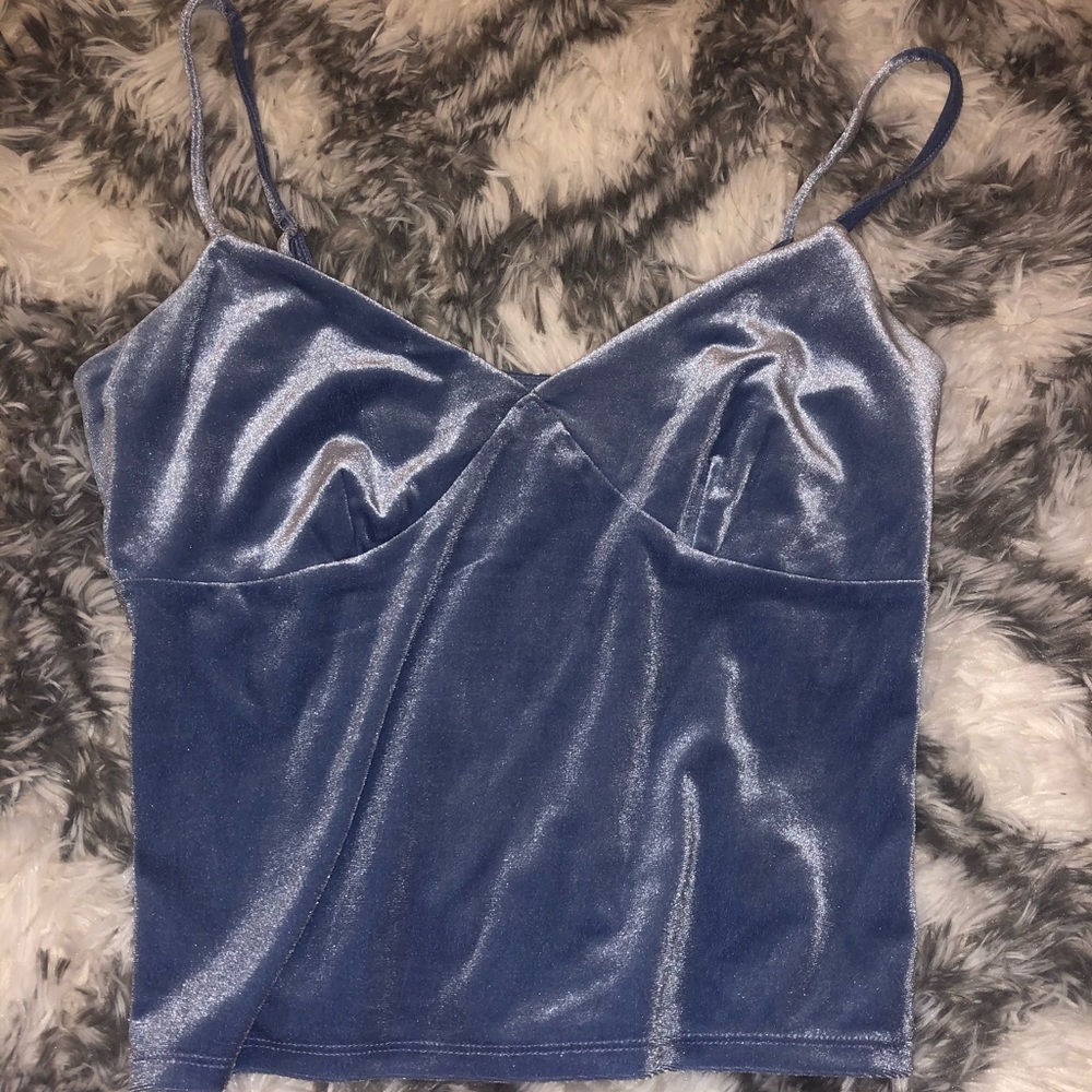 Velvet Crop Top SOLD - Picture 1 of 2